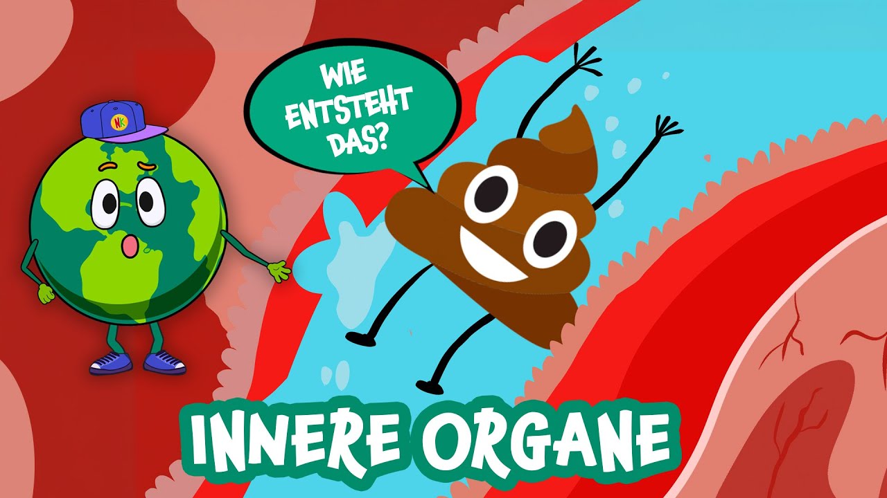 Wie funktioniert dein Körper? 🧠 Einfach erklärt für Kinder