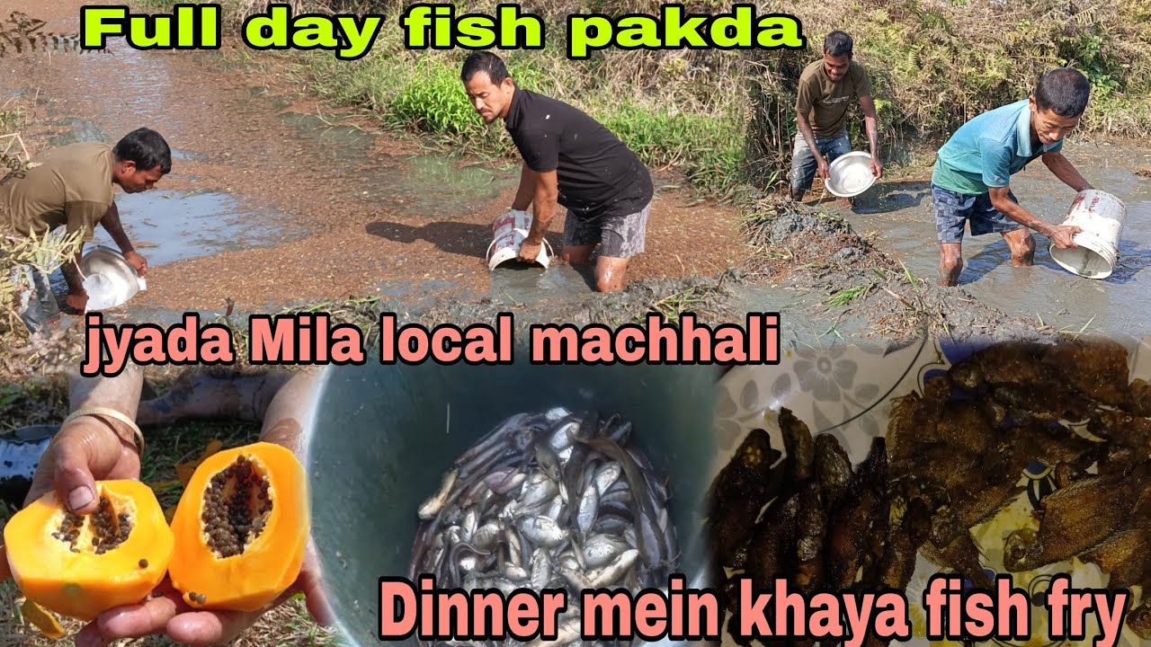 Full day Fish pakda// Jyada mila Local Machhali//Dinner me khaya Fish fry😋