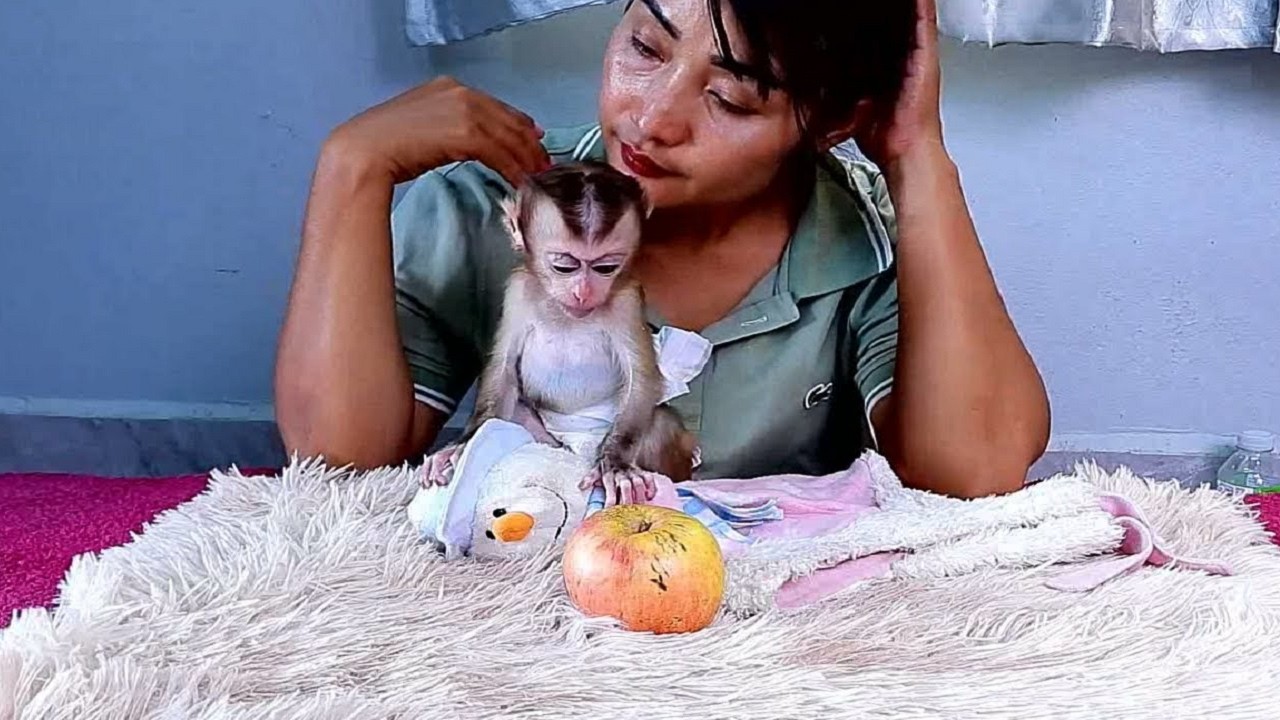 Every time the baby monkey is with the mother is warm