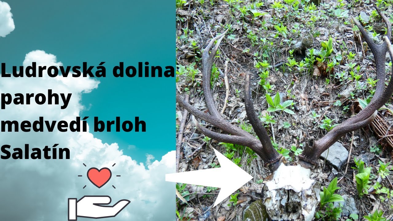 Ludrovská dolina, parohy, medvedí brloh a Salatín