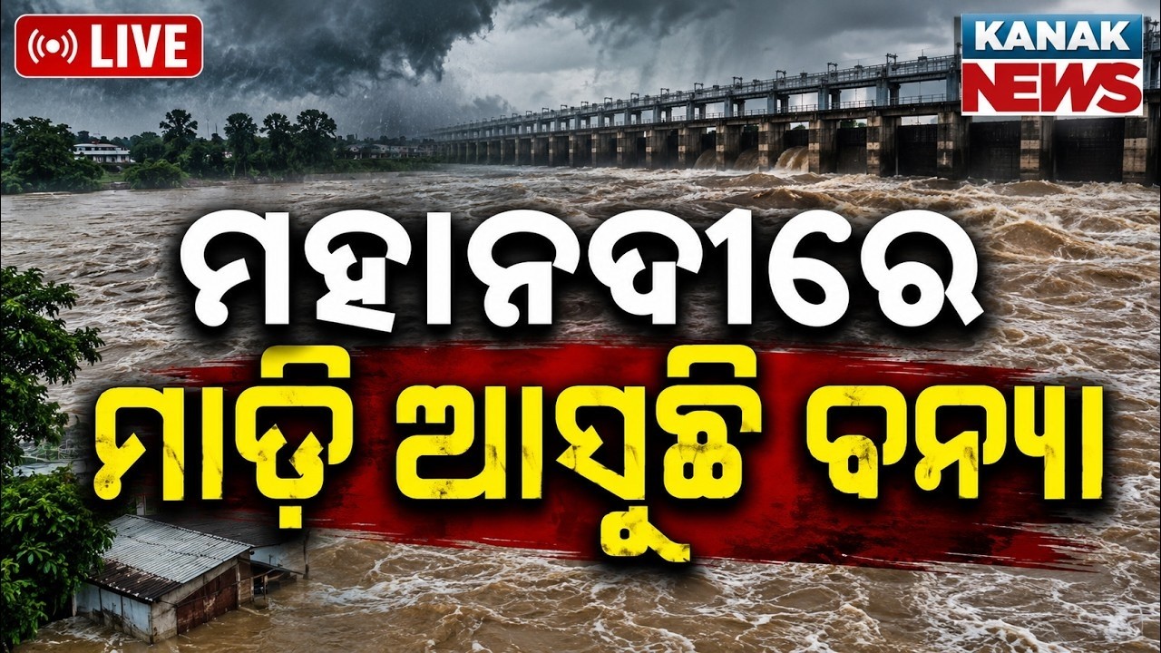 🔴LIVE ମହାନଦୀରେ  ଆସୁଛି ବନ୍ୟା Mahanadi Flood Alert | Flood News | Flood Alert In Odisha | Weather