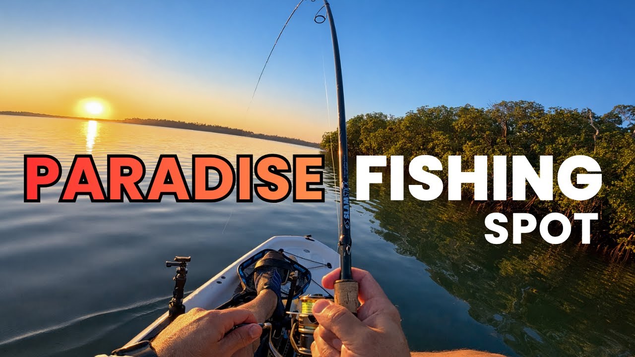 Early Morning Kayak Fishing in Southwest Florida