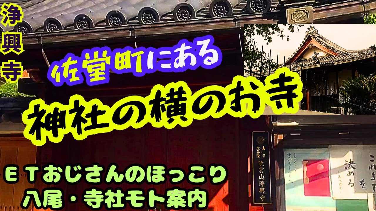浄興寺　八尾市モト案内100