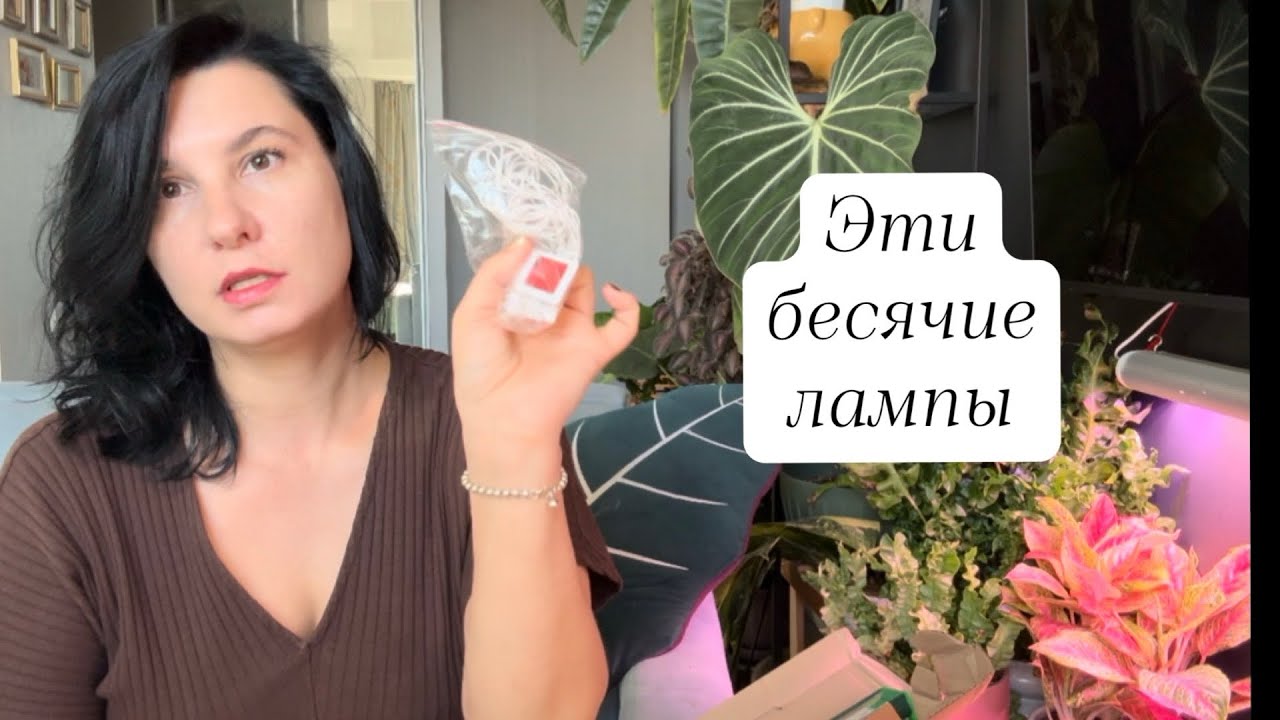 Эти бесячие лампы: рассказываю, что меня раздражает в фитолампах