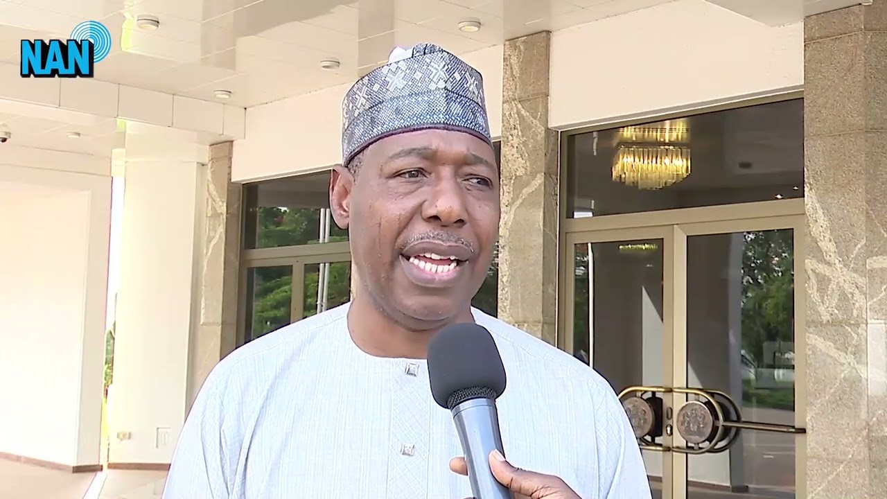 FG, Borno collaborating to end insurgency &ndash; Zulum