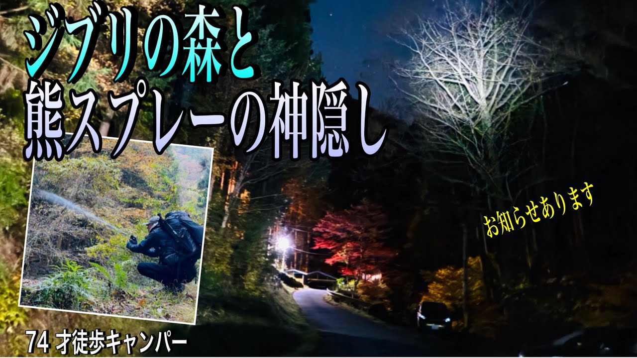 【徒歩キャンプ】ジブリの森と言われる白岩渓流園のひとりキャンプ。70代暮らしのあれこれvol.125