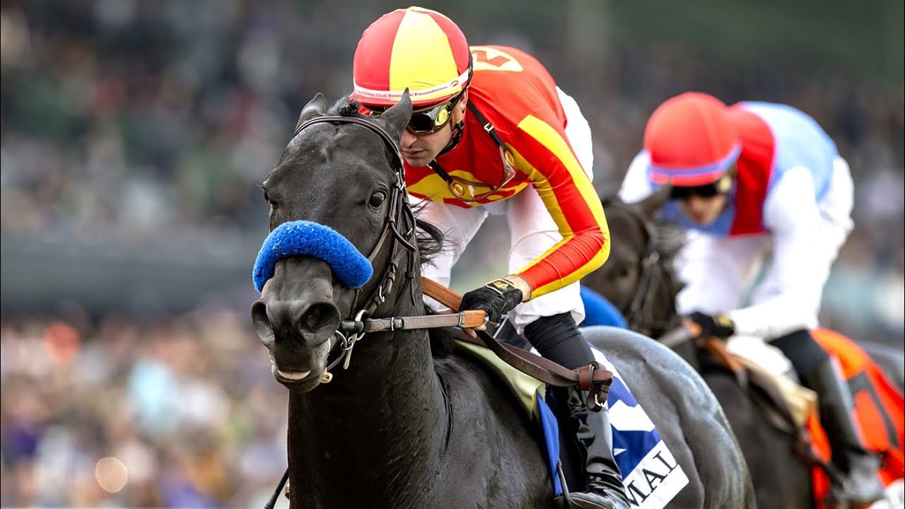 SPEED BOAT BEACH (Flavien Prat) - G1 Malibu Stakes 2023
