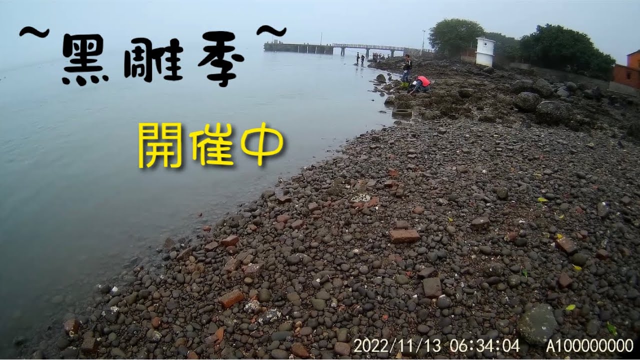 🐟2022/11/13🐟 (105) 🐟 ~磯釣 千又狙擊 !!!