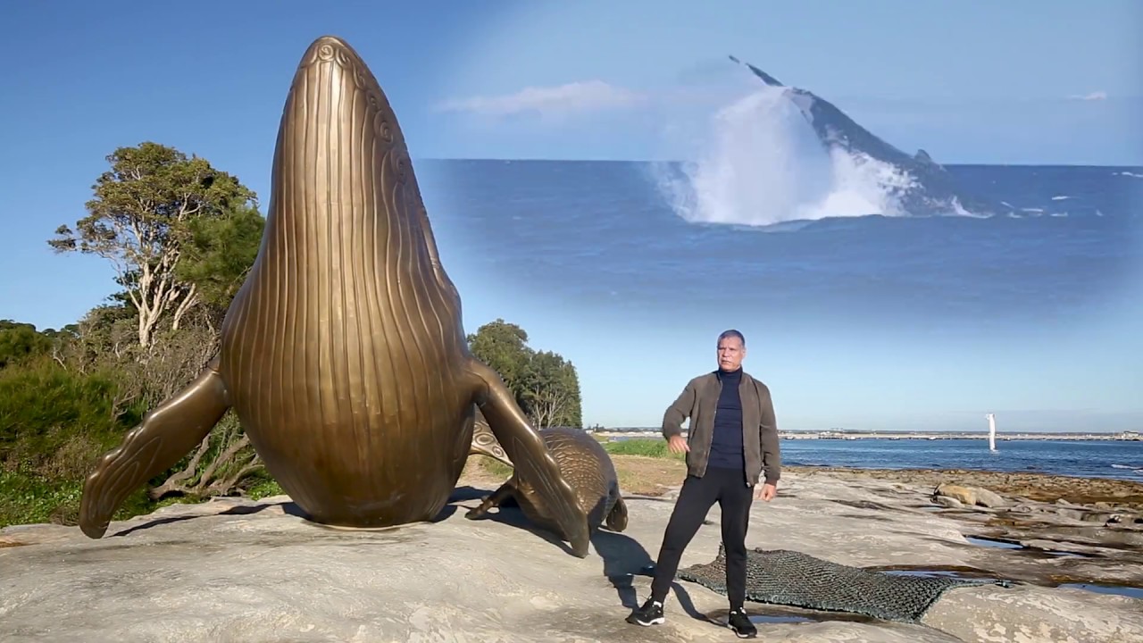 Dharawal Whale Dreaming story