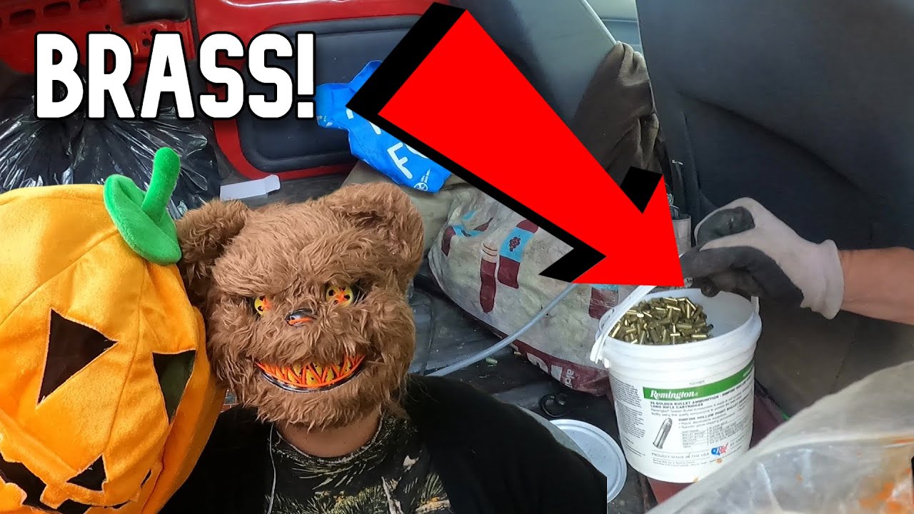 Big Scrap Payout and Halloween Hijinx