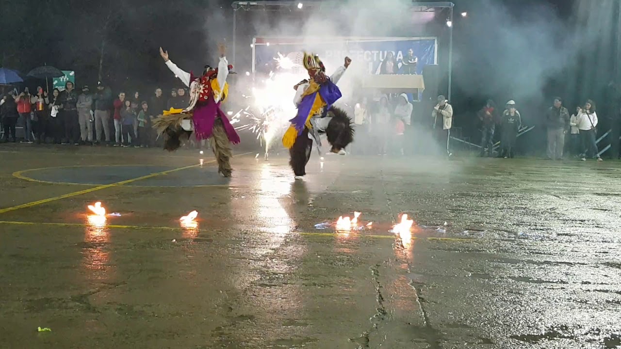Presentación en la escuela pio Xll Taki kushilla (RAMA DE GALLOS)