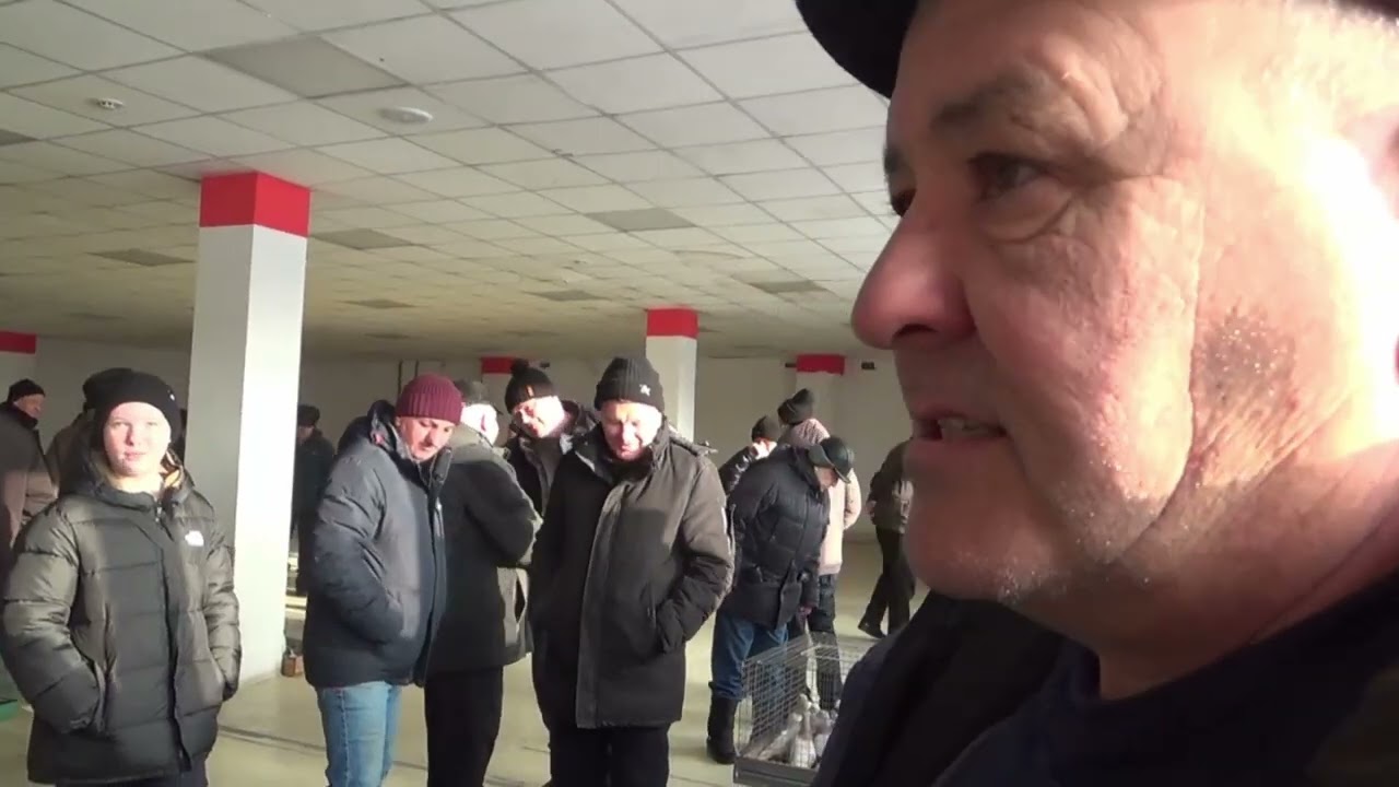 ЯРМАРКА ГОЛУБЕЙ В УФЕ 7 МАРТА 2026 ГОДА.