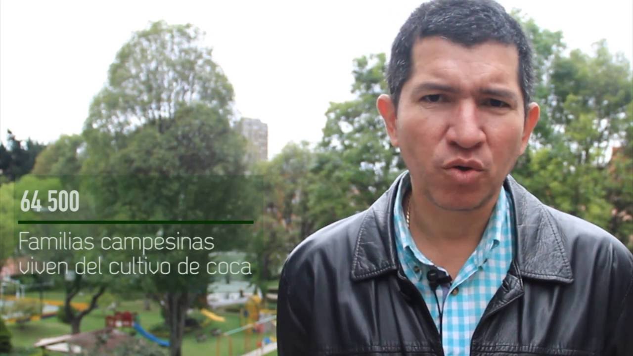 Campesinos, droga y paz (Indepaz)