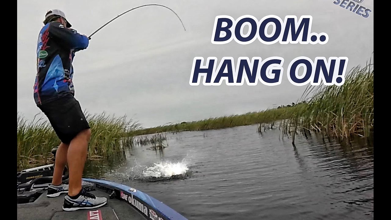 Big Bass Attacks Spinnerbait! - Scott Martin - How To Spinnerbait Fishing Tip on Okeechobee