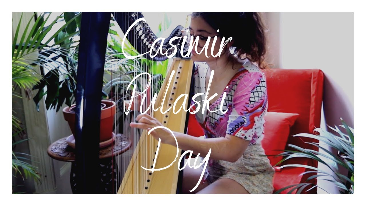 Casimir Pulaski Day - Sufjan Stevens - Harp Cover - Sam MacAdam