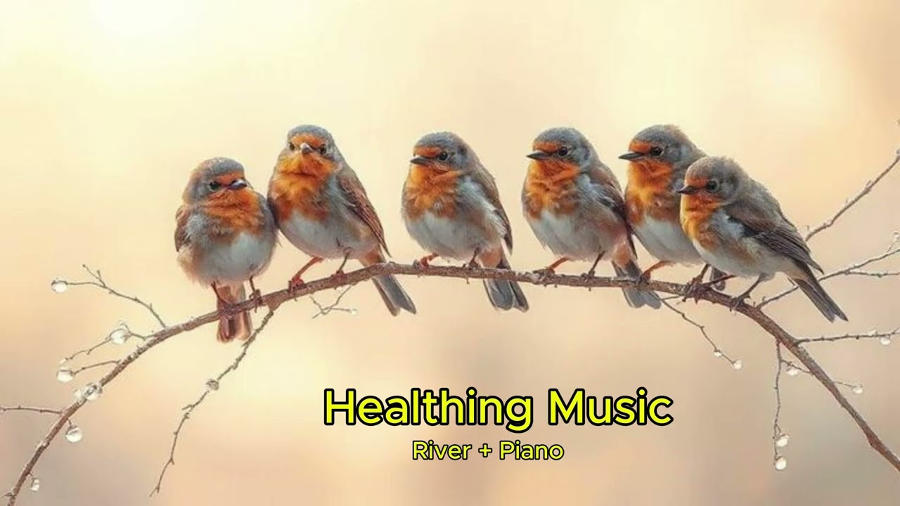 Healthing Music River + Piano