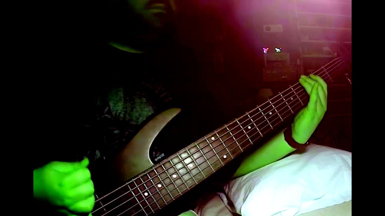 Phyllomedusa - Taro Cloaked In Corpuscles/Taveuni Aestheticism (DAT RIFF bass cover)