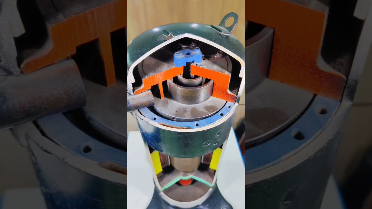 Cut the model of scroll compressor 