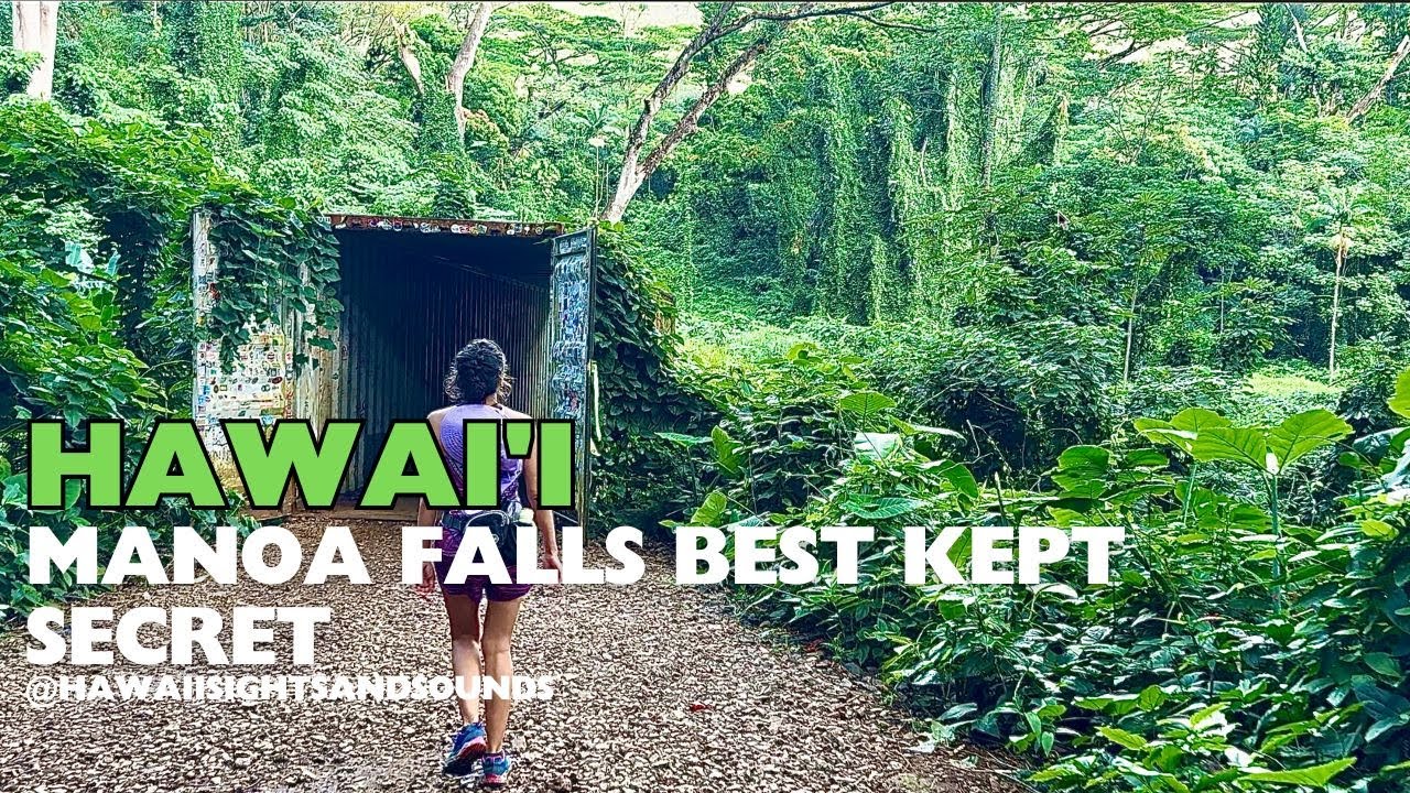 [4K] Manoa Falls Trail Best Kept Secret