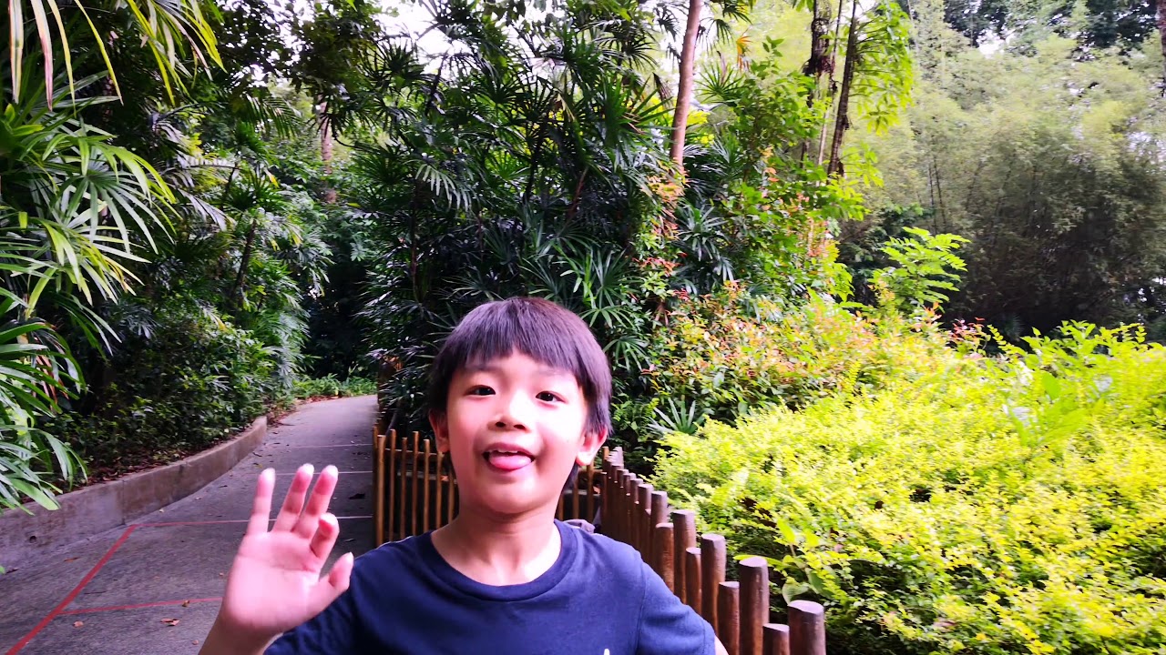 Zoo Trip 27.10.2018
