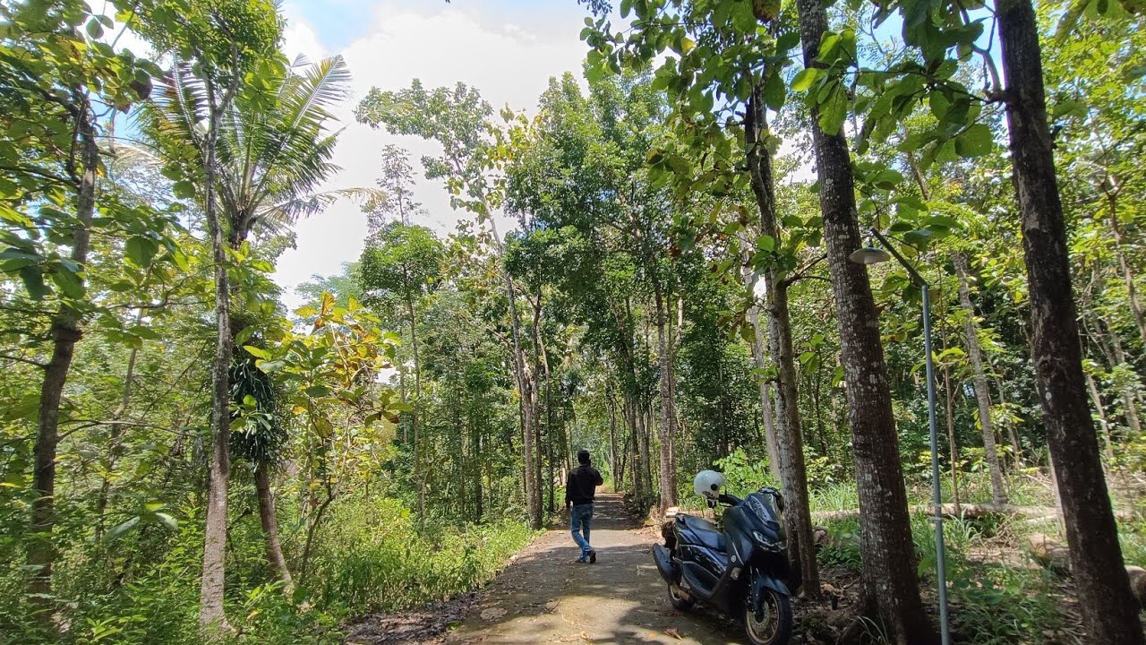 Tanah dekat kota wonosari cocok buat tempat tinggal ✅