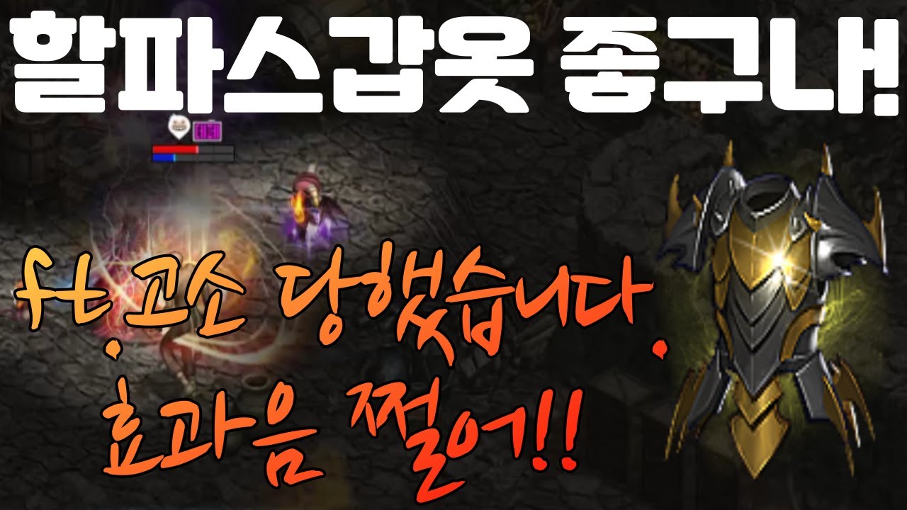 [리니지 폭군]  할파스를 입는이유!! ft.고소당했습니다. 판테라쇼크 효과음? 포스스턴 기사 전투 NO.1 리니지 리마스터 Lineage