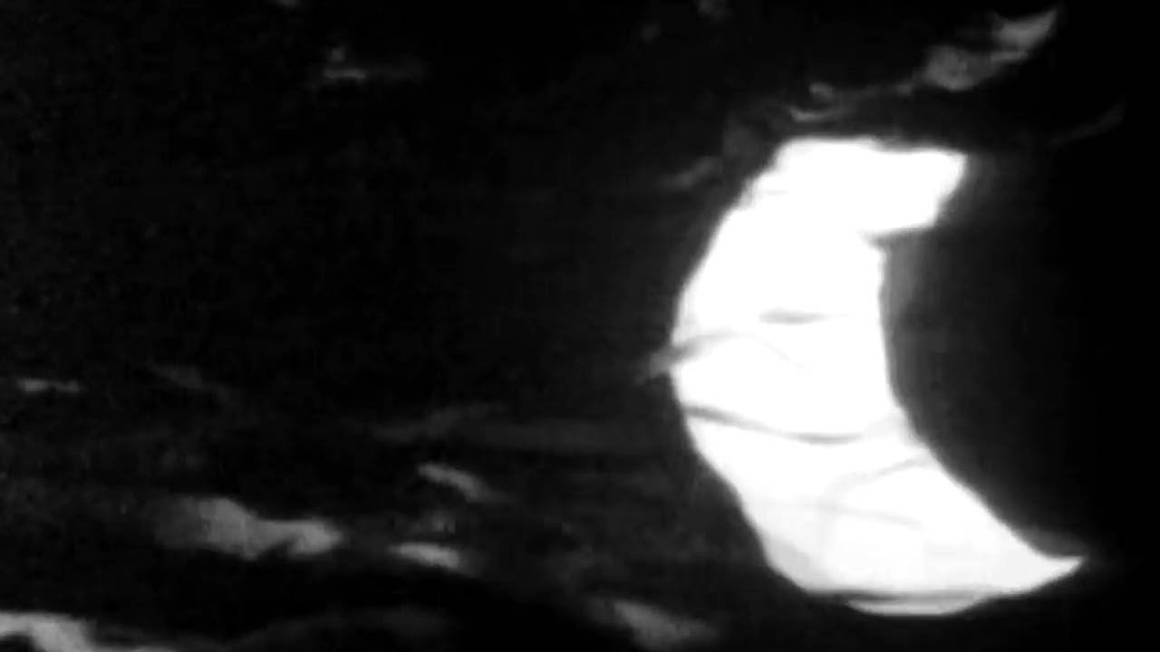 FREE | Post Malone x Kyle Type Beat 