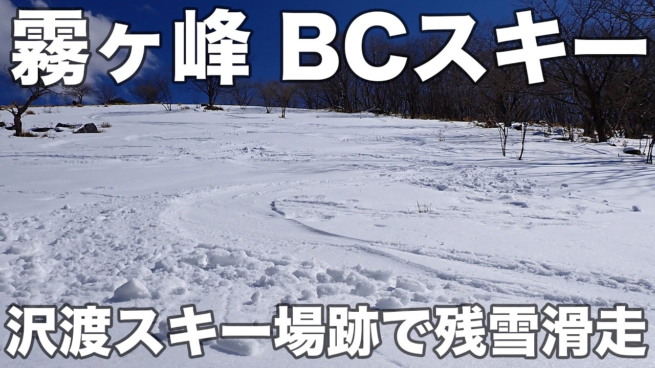 【速報】霧ヶ峰 BCスキー 2026年3月17日 沢渡スキー場跡で残雪滑走