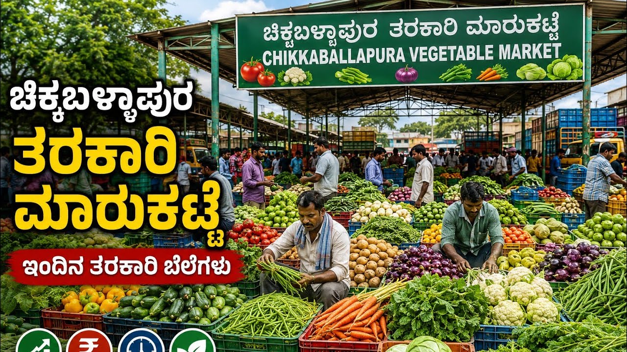 September 2, 2026 today's Vegetables rates at chikkaballapura vegetables market 