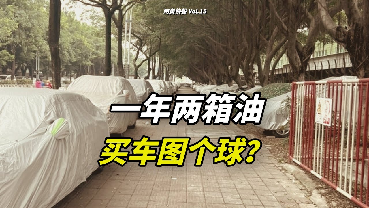 一年两箱油，为啥还买车？
