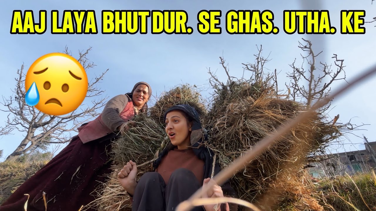 Sardiyon ke liye ghass kiya ikathaa 🥲😥|| kafi dur sw ghas la ke thk gye🥲 