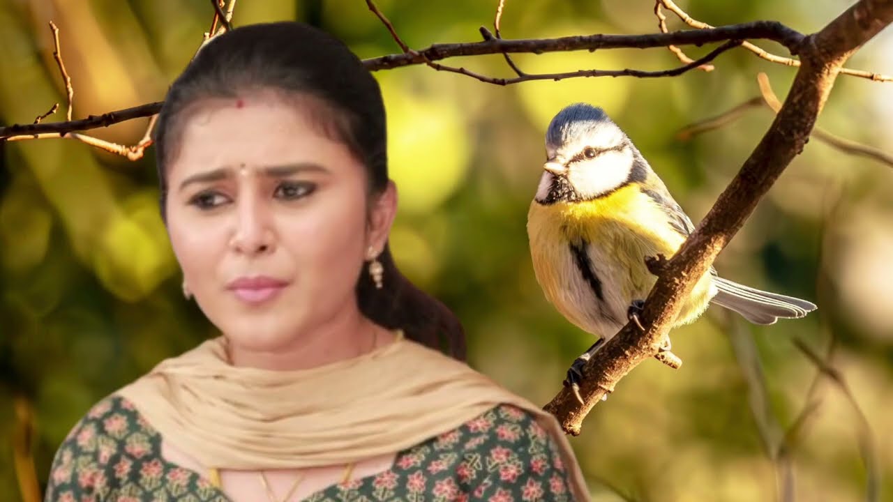 Pandian Store 2 Serial Upcoming Episode Review January 30th | 2026