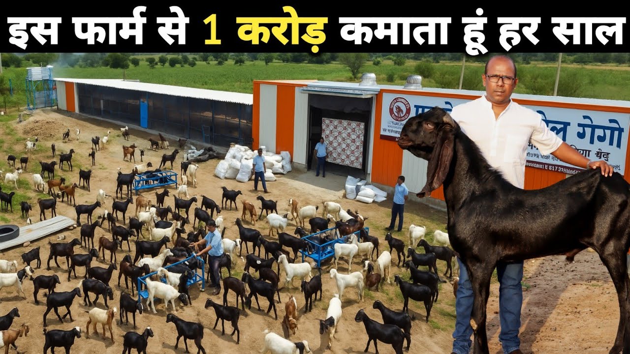 बकरी पालन से कमाता हूं 1 करोड़ सालाना | Bakri Farm ka Business | Goat Farming