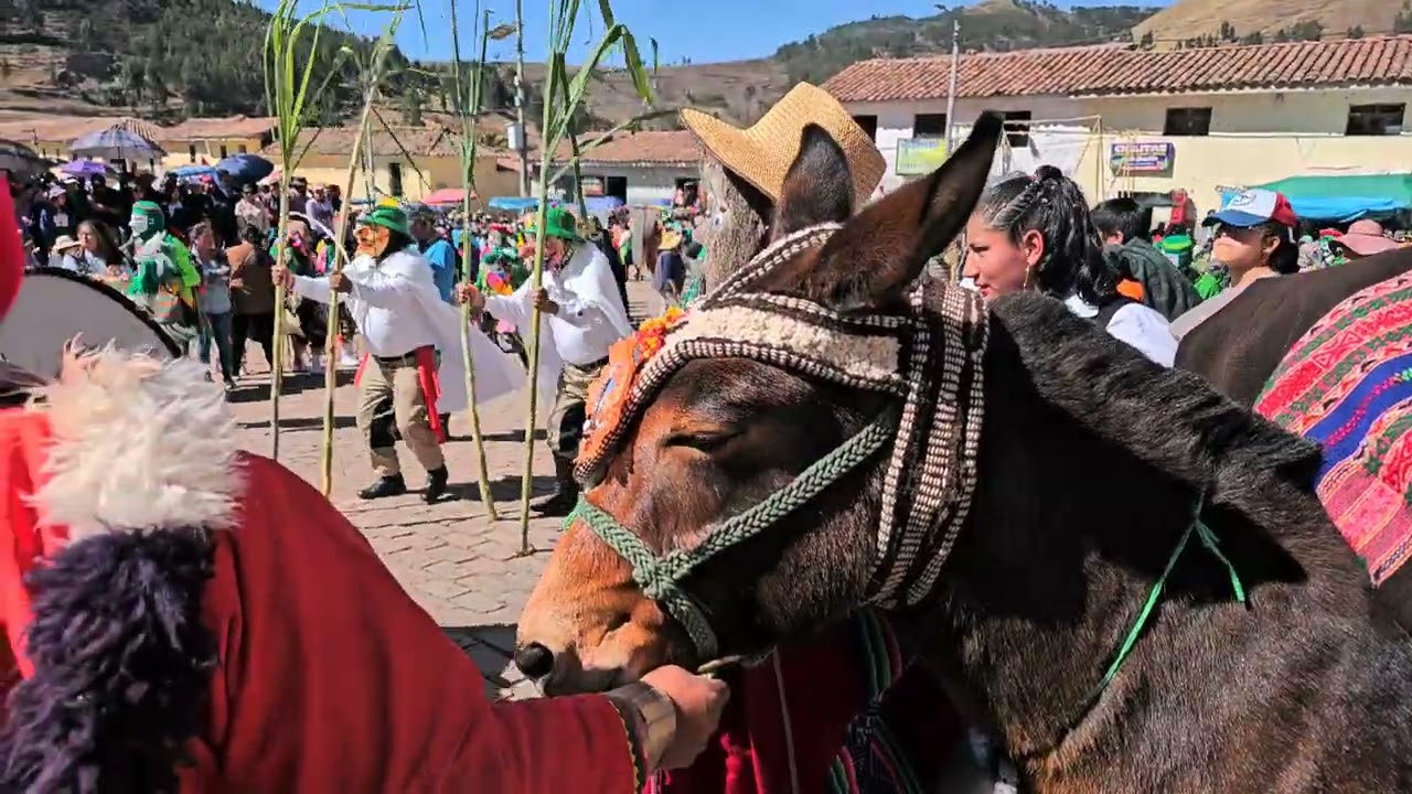 Virgen del Carmen de Huarocondo | 2024