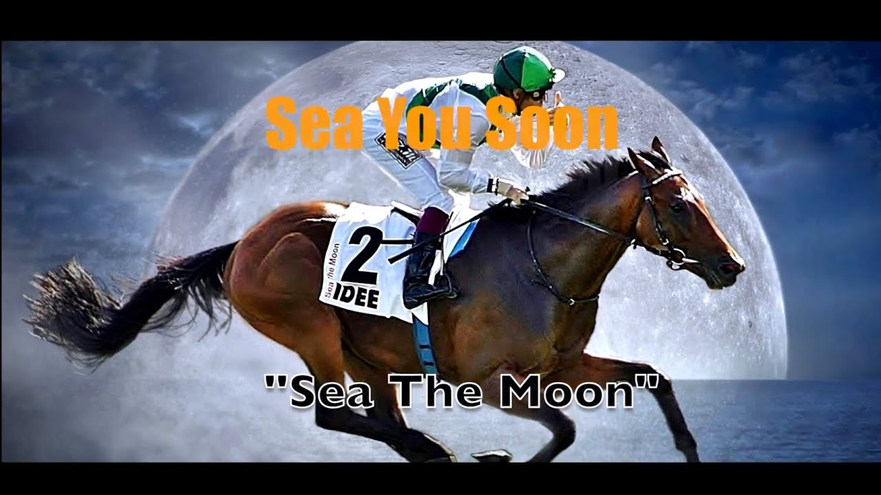 SEA THE MOON -  The Races