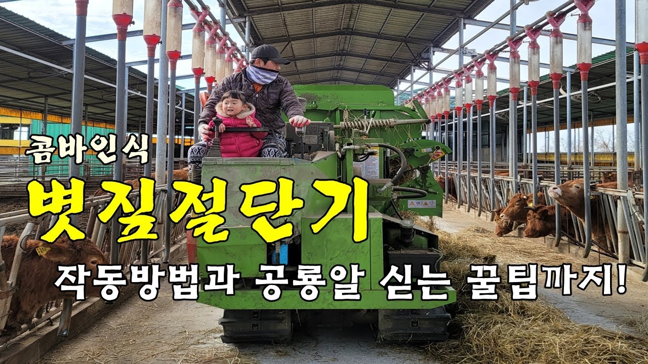 [함평 프리미엄농장] 볏짚절단기의 장점과 단점! 작동방법과 공룡알 싣는 꿀팁까지
