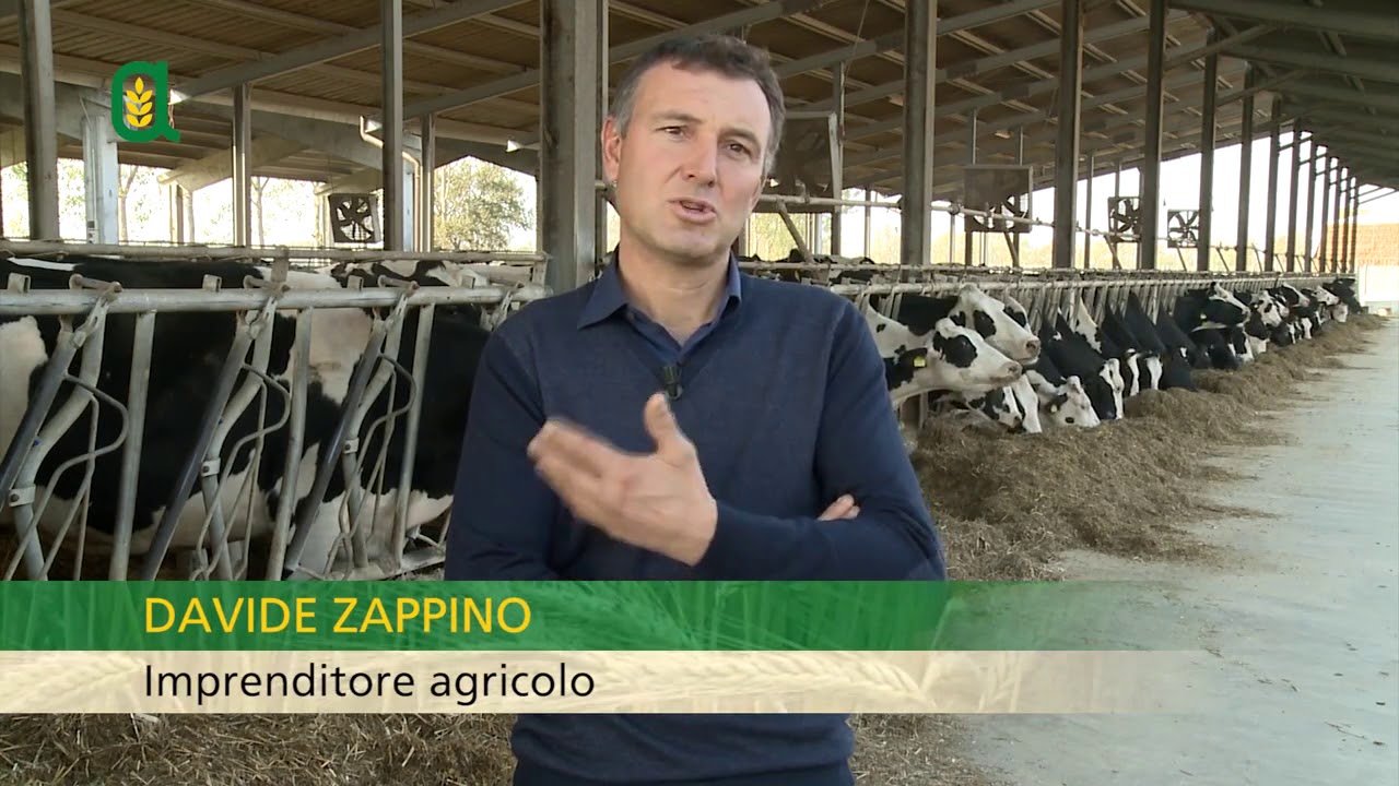 Tutti in campo - La produzione di latte biologico