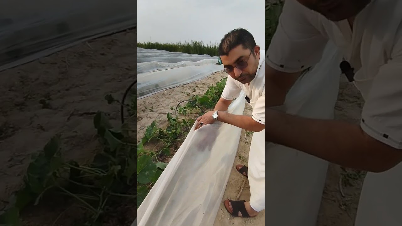 زيارة سريعة اخر يوم في رمضان للمزرعة