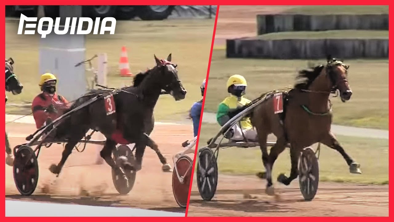 LA DERNIÈRE DE BOLD EAGLE ET LA VICTOIRE DE FACE TIME BOURBON | Grand Prix de Wallonie | Mons