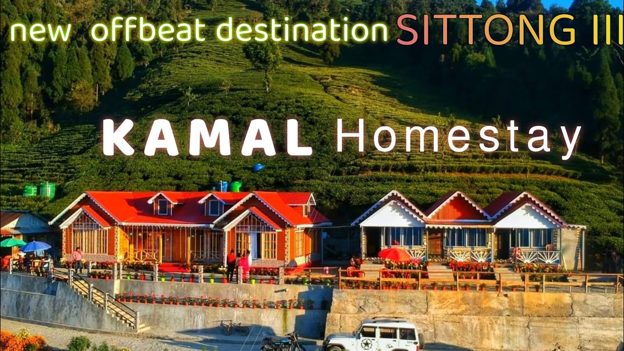 Best Homestay in Sittong | Kamal’s Homestay | Tea Garden | North Bengal Offbeat Destination |