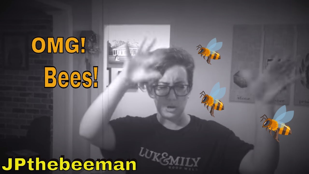 Her Bee Nightmare Was My Dream Come True