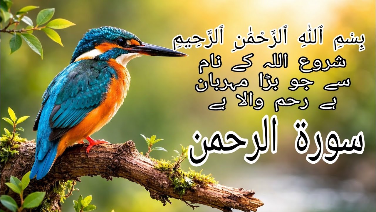Surat ur Rehman Ki Tilawat ❤️❤️❤️❤️