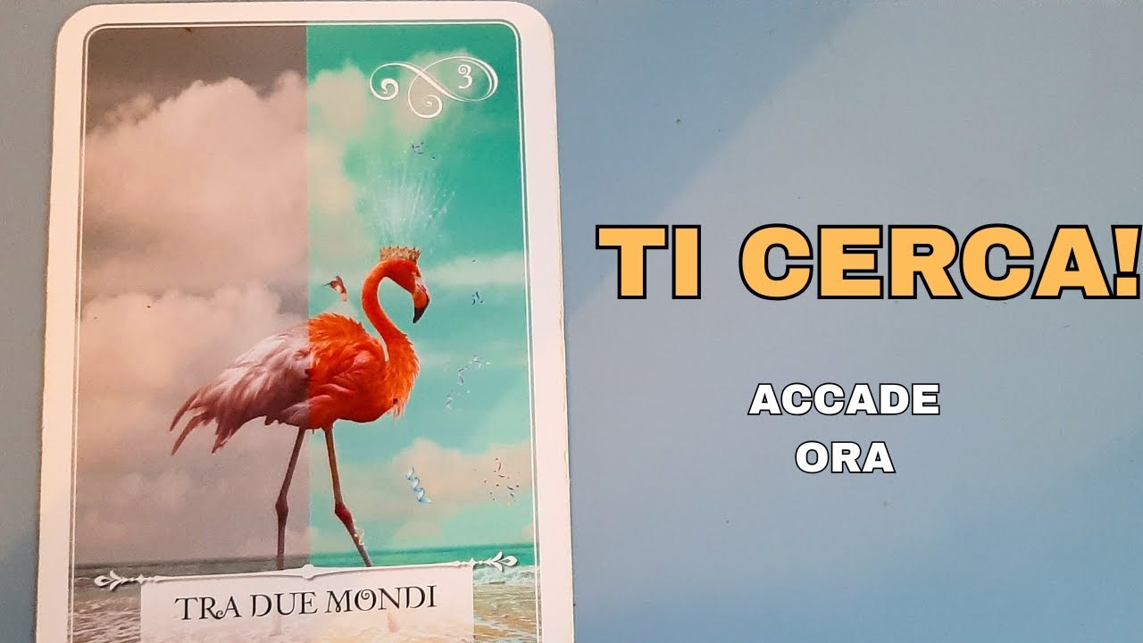 Ti Cerca Per Dirti Questo! ❤️ Accade Ora