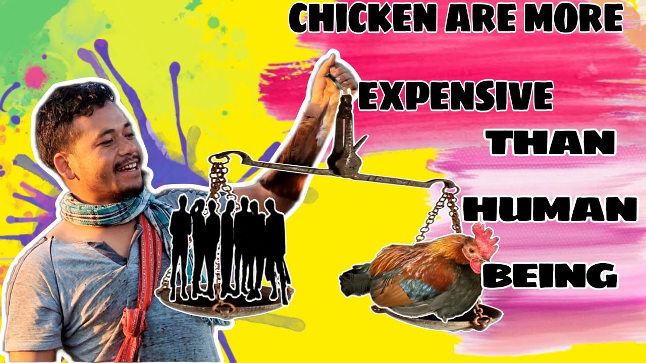 How to choose the right leader? || Short awareness video || English sub [CC]  ft @megafun7