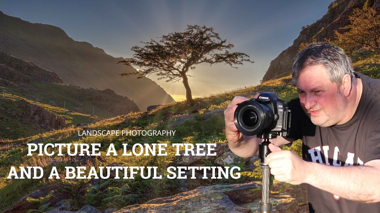 Looking For A Lone Tree At Sunset To Photograph