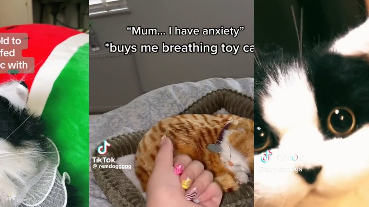 Cat Only Cs/Essa Tiktok Comp||Requested Idea By @Komokot_twitch0 ||creds to og owners