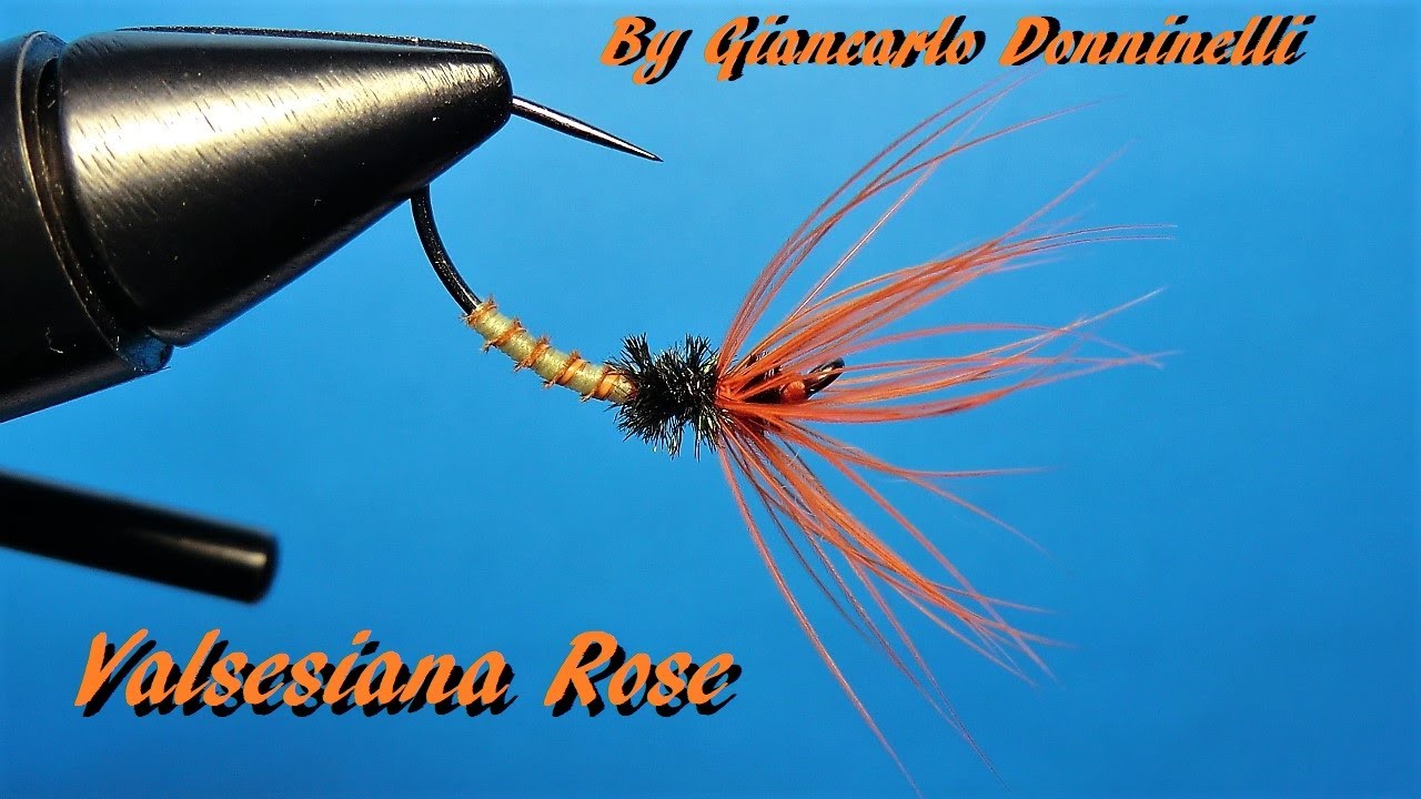 VALSESIANA ROSE By Giancarlo Donninelli
