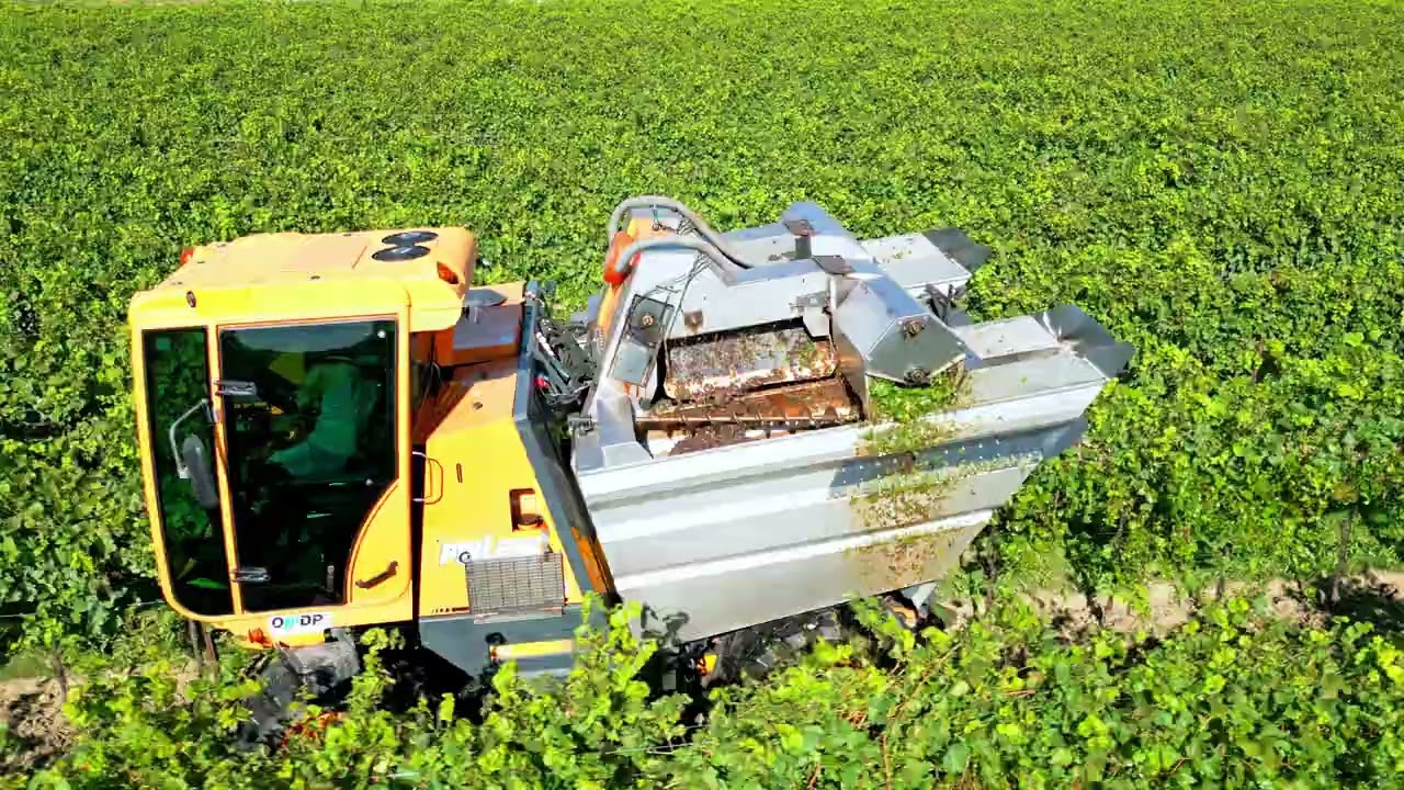 Vendemmia | Pellenc 4560