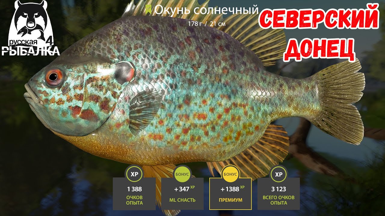 СОЛНЕЧНЫЙ ОКУНЬ + ПРИЛОВ НА ВЕКИ НА СЕВЕРСКОМ ДОНЦЕ В РУССКОЙ РЫБАЛКЕ 4 РР4