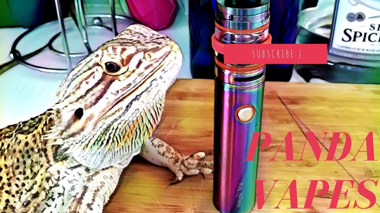 Panda-Vapes Pop Clouds Cotton Candy ejuice